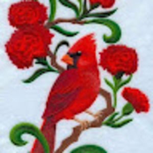 Meet your Posher, Dana